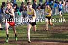 Senior Men, 2024 CAU Inter Counties Cross Country Champs., Wollaton Park, Nottingham. Photo: David T. Hewitson/Sports for All Pics